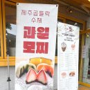 제주곱들락과일모찌
