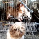 현아농장 이미지