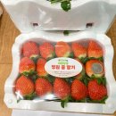 영원농장 이미지