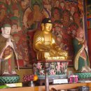 봉은사목삼존불상(석가불,가섭존자,아난존자) | 강남 봉은사 목 삼존불상(석가불, 가섭존자, 아난존자, 서울특별시 유형문화재227호)