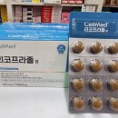 정메디칼 이미지