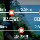 미조설리
