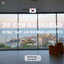 지에스25 경주감포나정점 | 경주 독채 풀빌라 SSD풀빌라 A201호 후기 애견동반 가능한 감포 오션뷰 숙소