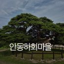 선우고택 | 2025 안동 선유줄불놀이 명당 주차장 예약 일정 관람팁