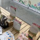 식생활교육박람회 현장 참여 후기(1)_코엑스 로비 / 식생활교육 표준 콘텐츠 활용 체험, 전시