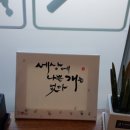 보리네 펫 미용 이미지