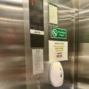 인빌리지 | 태국 방콕 가성비 호텔 추천, 람부뜨리 빌리지 인&amp;플라자 후기