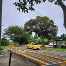 예래주유소 | 제주에서 운전학원을 찾고 계신가요? 제일자동차운전전문학원을 추천합니다!