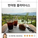 반야원 플라타너스, 풍경 맛집