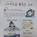 건강플랫폼/유니시티 네이버블로그