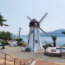 야자수 풀빌라 이미지