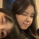 채다 이미지