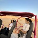 병남2농장 | [베트남 자유여행④] 판랑 선라이즈 사막투어, 셀프웨딩스냅♥️ 포롱라자이,포도농장,항라이해변,미아리조트