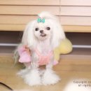 쎄미네집 이미지
