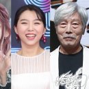 케이스텔라 이미지