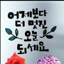 성심 행정사 사무소 이미지