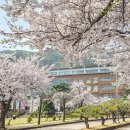 쇼골프피플 교수신문
