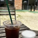 우산수영장카페 | 대구 근교 1,600평 천연잔디 운동장, “파르크우록”│대구 애견카페,애견 수영장 내돈내산 후기