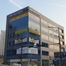 MTA베스트태권도 이미지