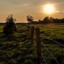 광휘농장 이미지