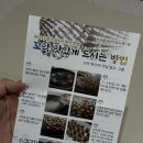 꼬막꼬막 이미지