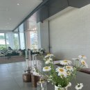 원삼산 목장 | 용인 카페 l 카페앙그랑 _ 포토존이 많은 대형카페 (전참시 이영자 카페)