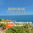 푸른바다 피시샵 | 묵호 소품샵 무코야 선물가게 논골담길 방문 후기