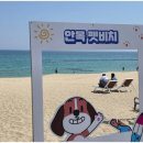 강릉샌드 달콤한 강릉샌드 안목해변점 후기