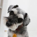 강산동물병원 이미지