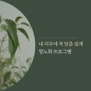 시너지천안 이미지