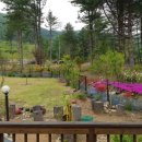 두밀숲캠핑장 이미지