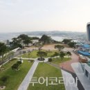 낭만과메기