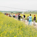 황룡강변2 이미지