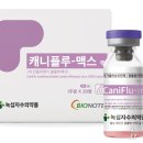 개 인