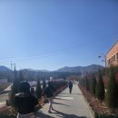 김유정역 | 강촌 레일바이크 실제후기, 김유정역 코스가 제일 좋은 이유