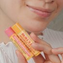 내츄럴헬스 약초명가 | 올리브영 립밤 추천템 립마스터 버츠비 비즈왁스 자몽 향 보습 총정리