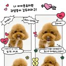 견생유치원 이미지