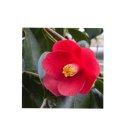 미유외과의원 이미지