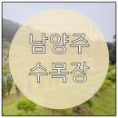 제일종합정비공업사 | 남양주 수목장 분양가 비교부터 현장 답사까지 완벽 가이드
