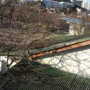 현대근린상가 이미지