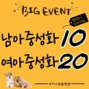주안동물병원