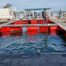 병기호 좌대낚시터 이미지