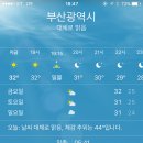해가 지고 있는 현재 서울 부산 대구 체감온도 이미지