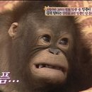 뉴센스의원 | 251012 추석연휴 후유증이 없으려면? 연휴 때 일을 하면 된다!