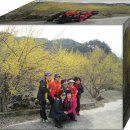 개나리꽃민박 이미지