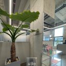 빨간머리 미용실 | 스타일링 고민 끝! 파주 운정 아르티크에 정착한 미용실 유목민의 솔직 후기