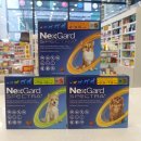 그린동물약국 이미지