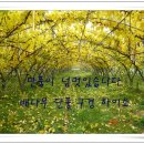 월포동017 이미지