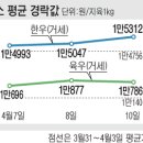 축산물 출하정보＜소＞ 이미지