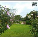 대연수목전시원 이미지